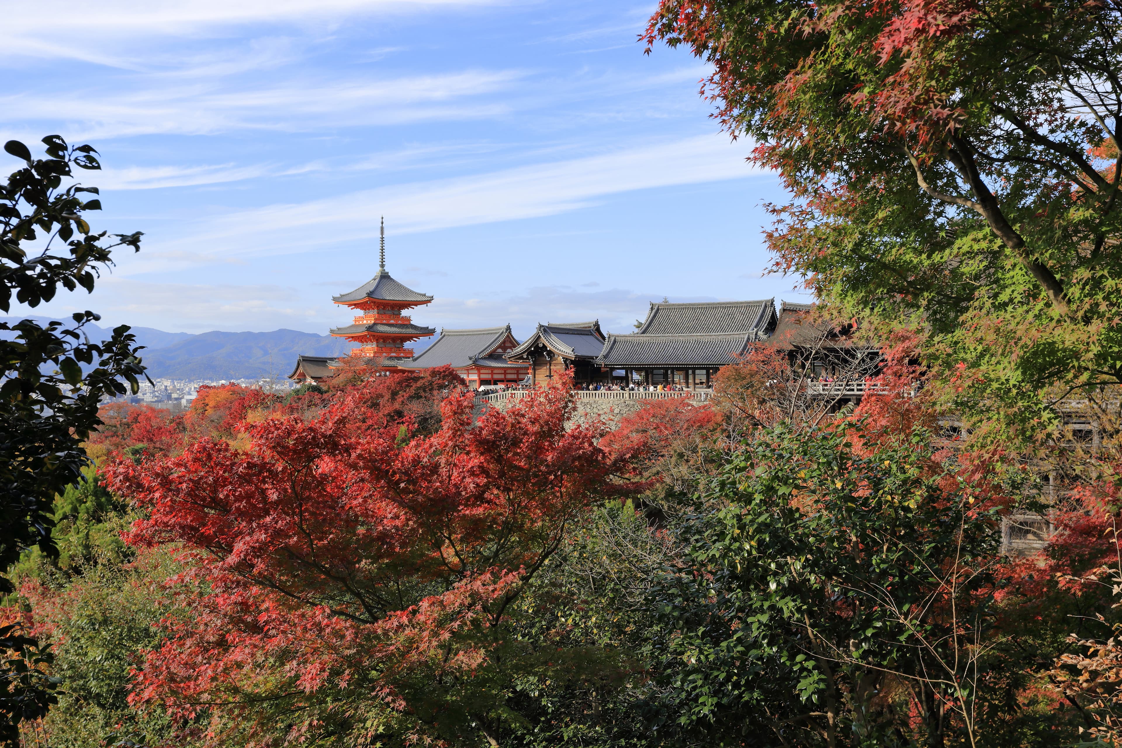 Temple complex of Kiyomizu-dera in Kyoto, Japan.