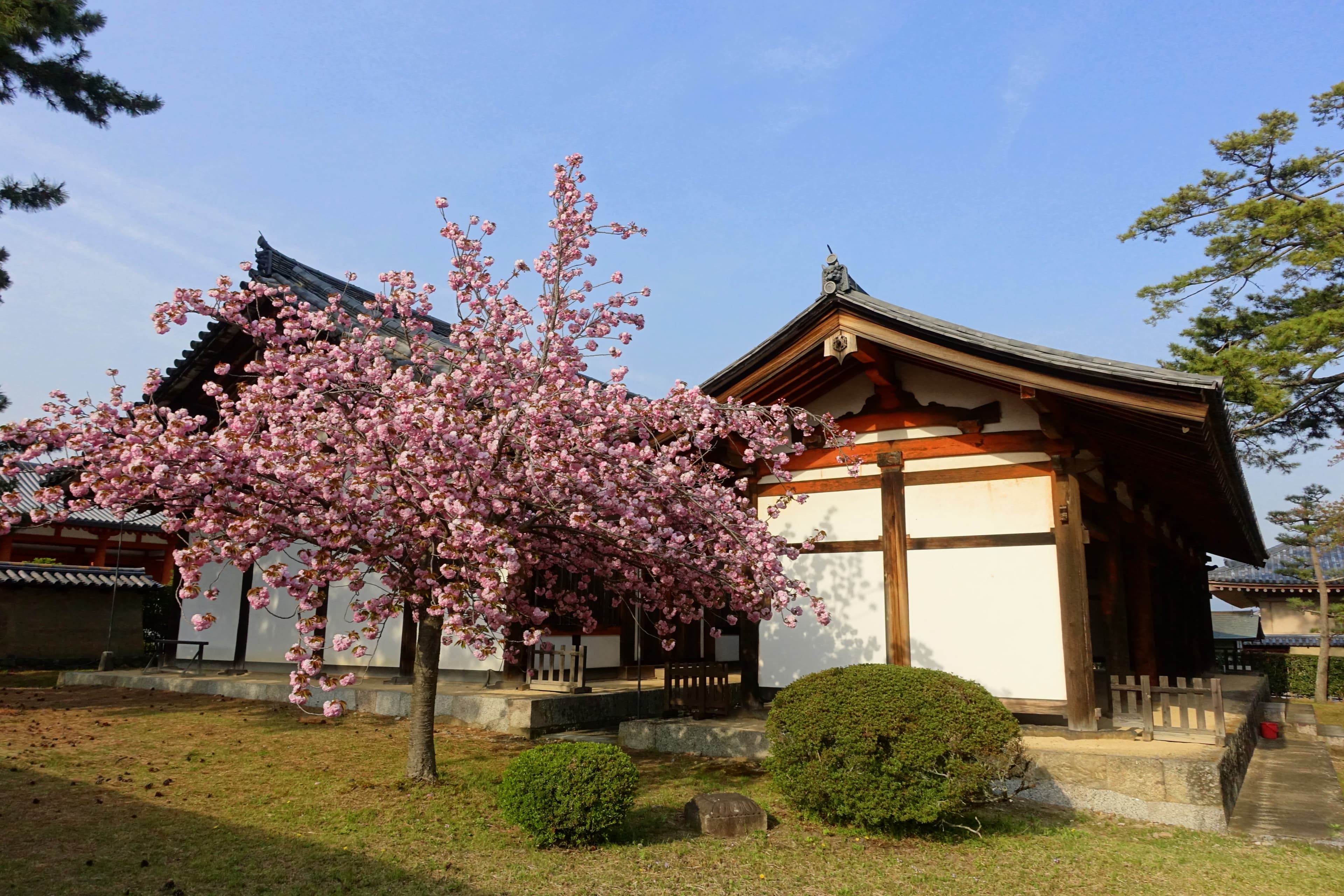 Refectory, Horyu-ji, Ikaruga, Nara Prefecture, Japan.